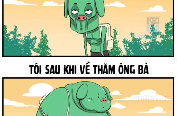 Sắp Tết rồi, về ăn Tết xong là béo lại thoy =))